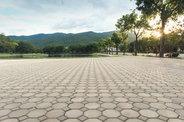 Best Custom Driveway Pavers  in Elon, NC