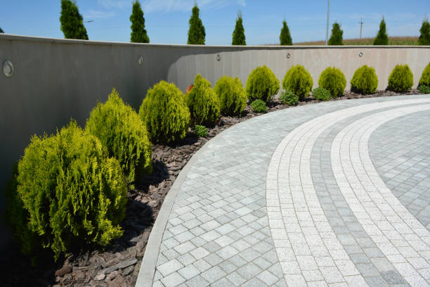 Best Driveway Pavers Near Me  in Elon, NC